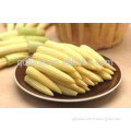 Top quality canned sweet baby corn